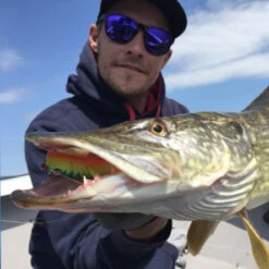 Drunk Bait -Angelgeschäft 094814r 5