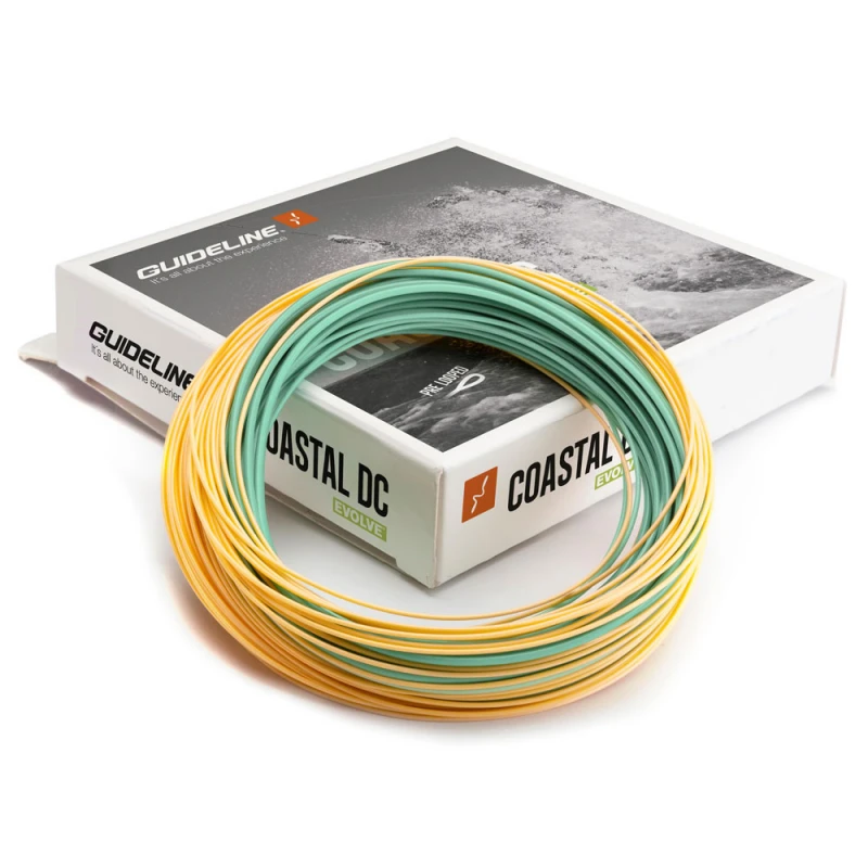 Guideline Coastal Evolve WF 3 Guideline Coastal Evolve WF