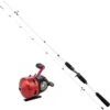 Abu Garcia Abumatic 170 Combo -Angelgeschäft 1548362 1