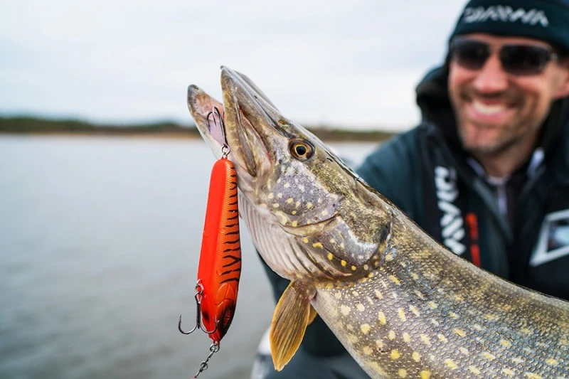 Daiwa Prorex Lazy Jerk Slow Sink 4 Daiwa Prorex Lazy Jerk Slow Sink – Bild 2