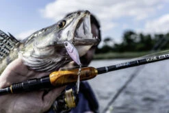 Quantum 4Street Spin-Jig 14g -Angelgeschäft 22 3494304r 3