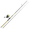 Daiwa Crossfire LT3000-C Gold Rush 8' 15-50G/0.19YL -Angelgeschäft 32 217514 1