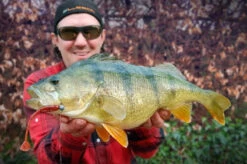 High5Lures Drop9 (6-pack) -Angelgeschäft DRP9101r 4