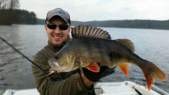 Spinmad Tail Spinner Jigmaster 8g -Angelgeschäft GL 2301r 2