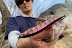 Megabass Vision Oneten LBO -Angelgeschäft MB VOLBO 4513473451171r 3