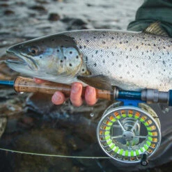 Vision Stifu Flyrod 7 Vision Stifu Flyrod -Angelgeschäft VFU4967r 3